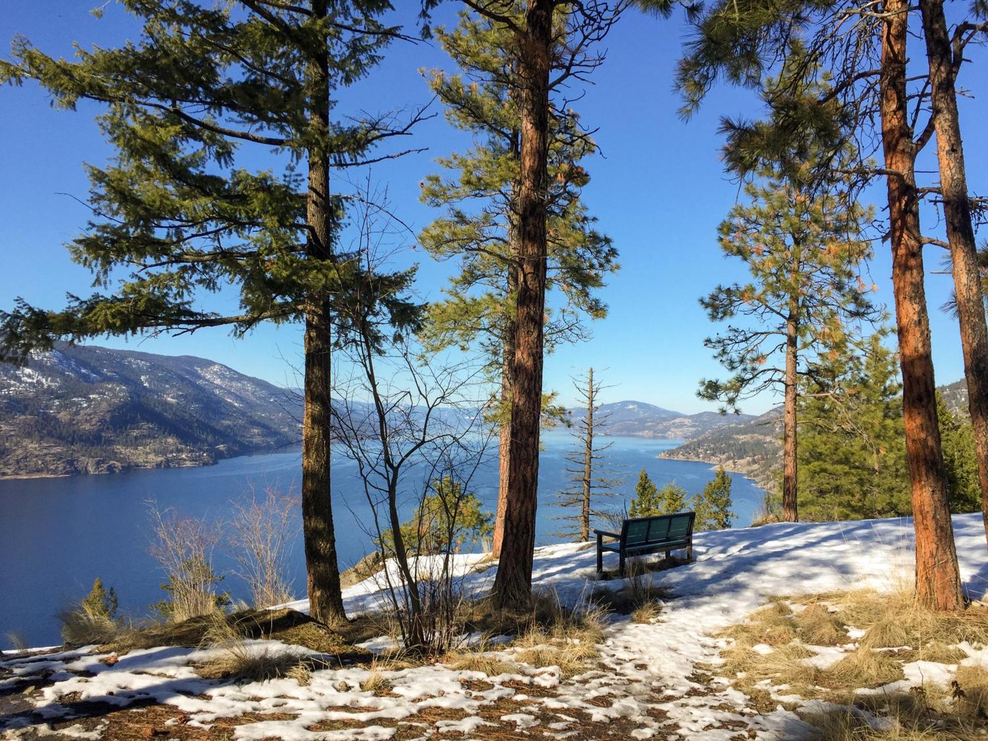 Kelowfornia Lakeview Retreat ケロウナ エクステリア 写真