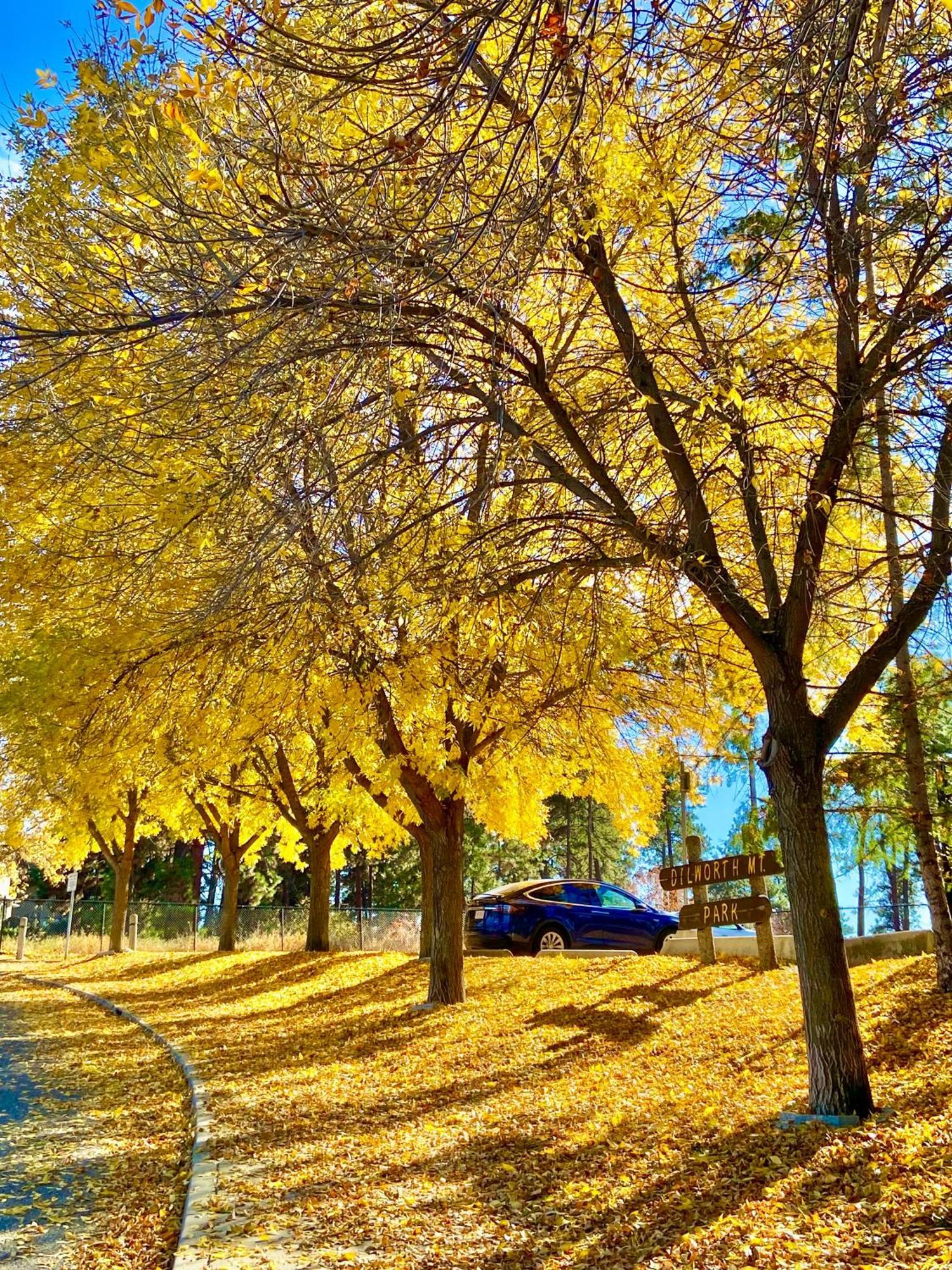 Kelowfornia Lakeview Retreat ケロウナ エクステリア 写真